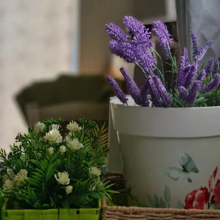 Lo Stazzo Della Dottoressa בית נופש