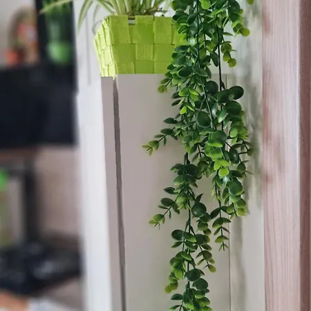 Lo Stazzo Della Dottoressa Enas