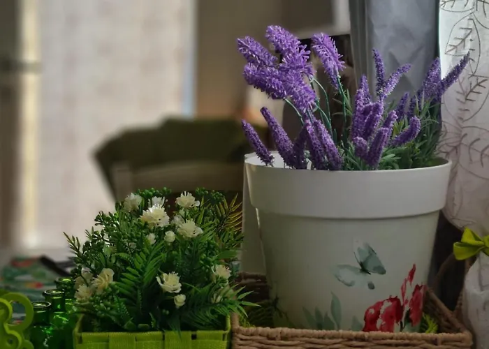Lo Stazzo Della Dottoressa Casa de Férias