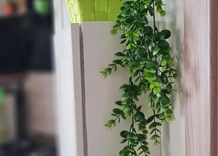 Lo Stazzo Della Dottoressa Enas