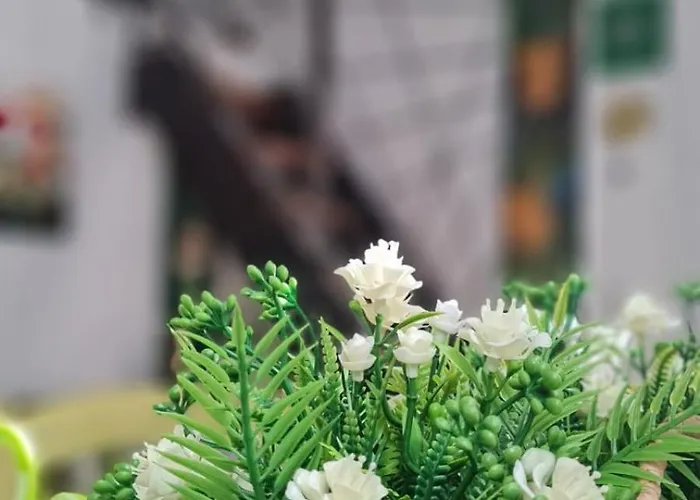 Casa de Férias Lo Stazzo Della Dottoressa *