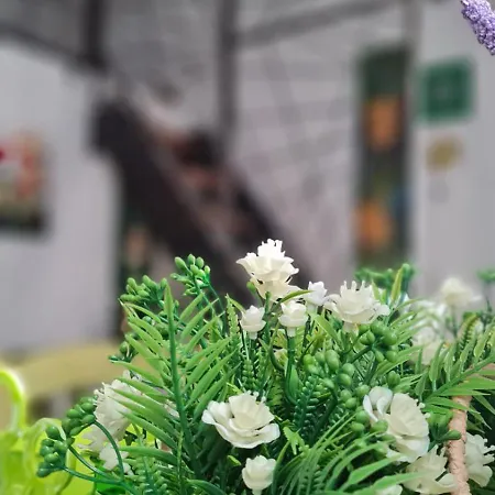 Holiday home Lo Stazzo Della Dottoressa *