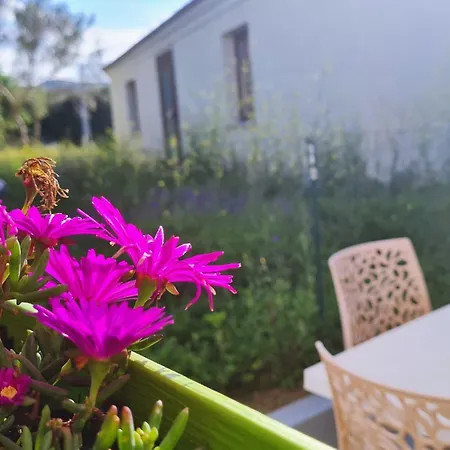 Lo Stazzo Della Dottoressa Holiday home *