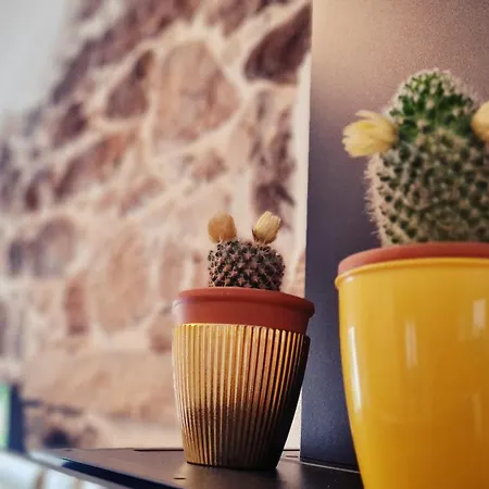 Lo Stazzo Della Dottoressa Holiday home