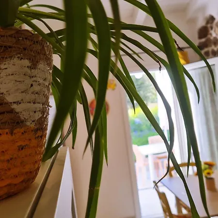 Holiday home Lo Stazzo Della Dottoressa *