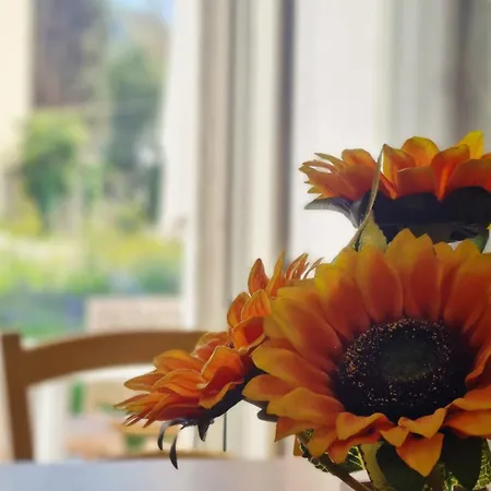 Lo Stazzo Della Dottoressa Holiday home